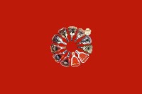 上高县回收红酒